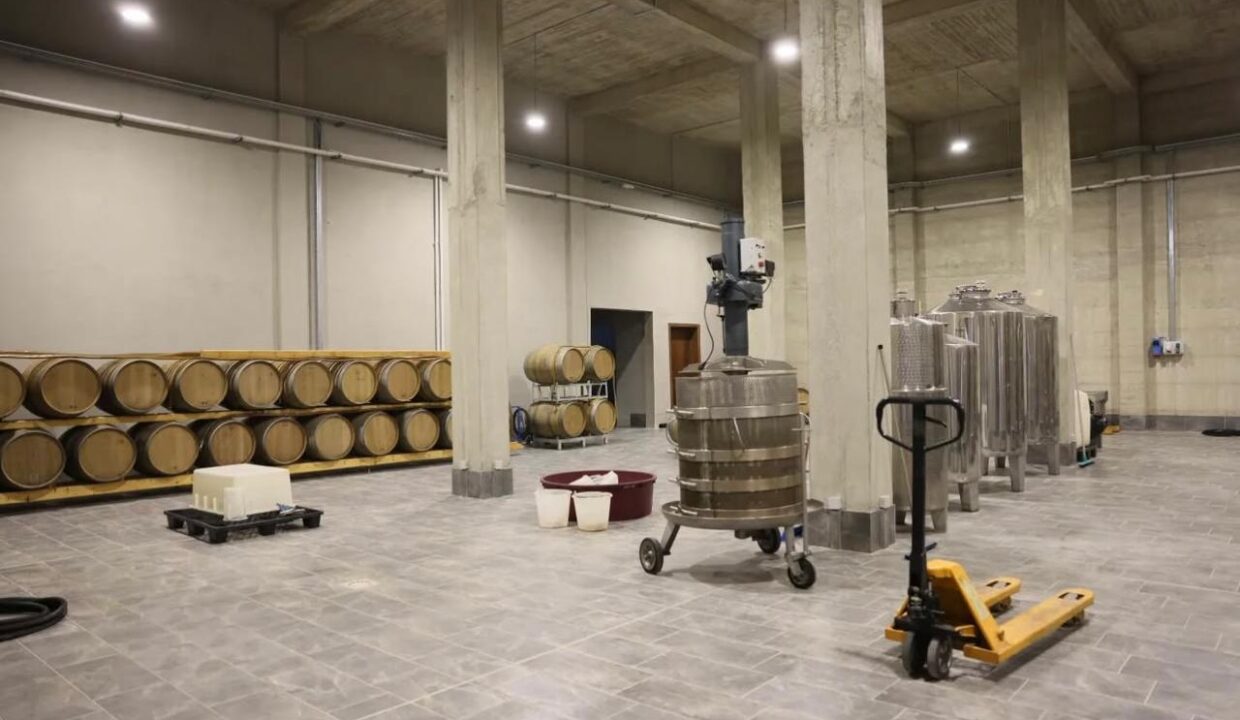 WhatsApp Image 2025-04-25 at 16.27.24_f986f8f0