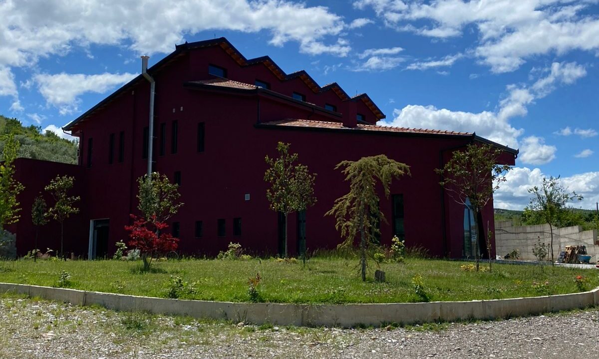 WhatsApp Image 2025-04-25 at 16.27.25_21d97ed8